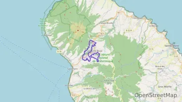 Maison 104 m² quatre pièces à vendre à Le Morne-Rouge