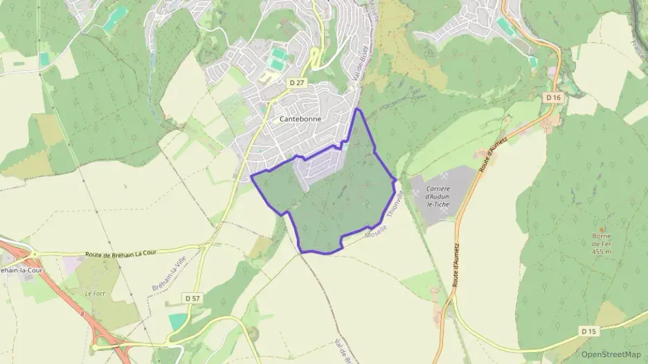 Maison 110 m² cinq pièces à vendre à Villerupt Maison 110 m² cinq pièces à vendre à Villerupt