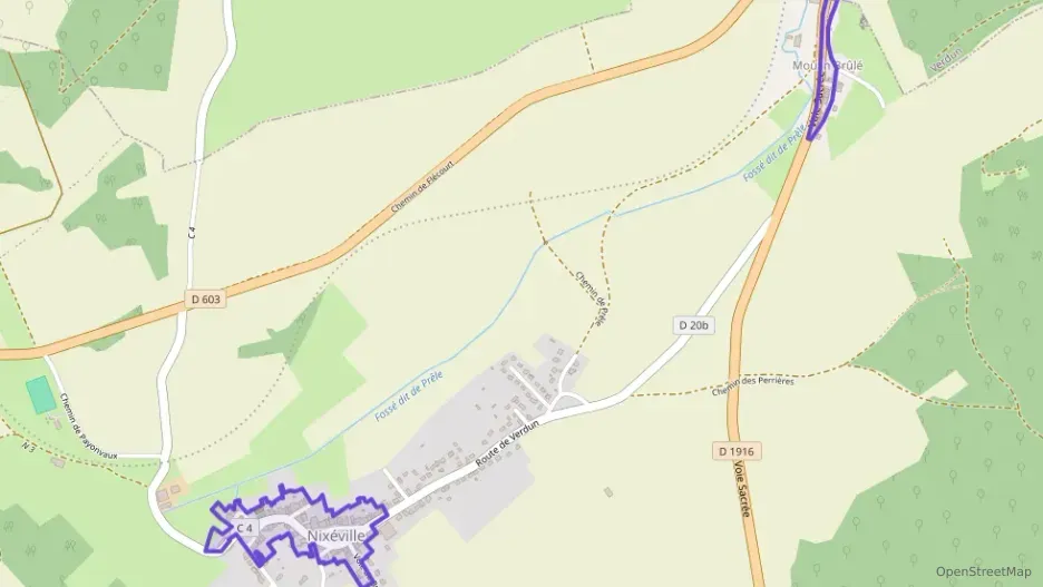 Maison 180 m² cinq pièces à vendre à Nixéville-Blercourt Maison 180 m² cinq pièces à vendre à Nixéville-Blercourt