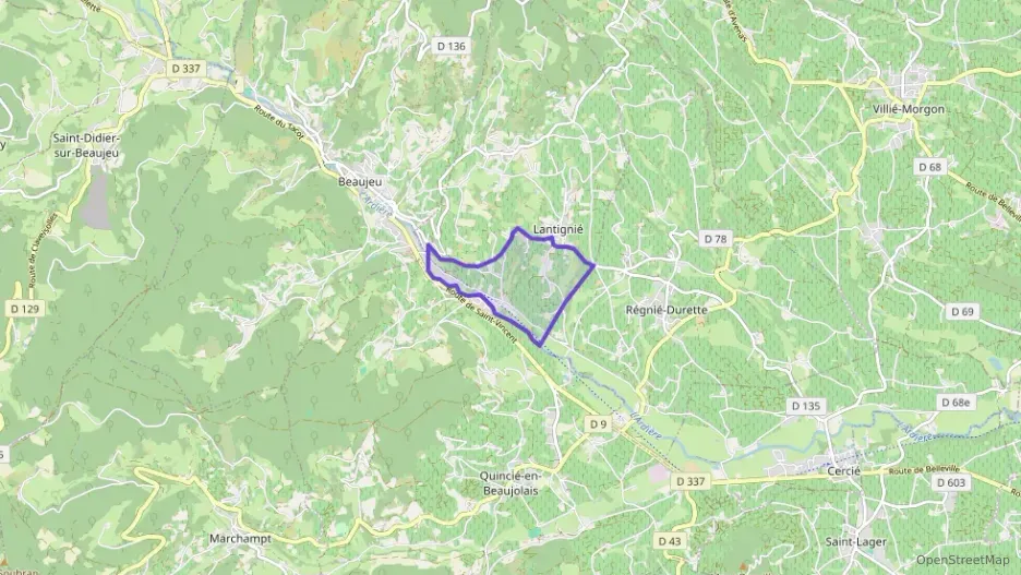 Maison 142 m² cinq pièces à vendre à Lantignié Maison 142 m² cinq pièces à vendre à Lantignié