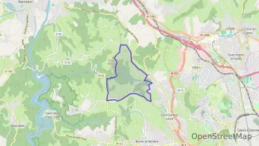 Maison 60 m² deux pieces à vendre à Saint-Genest-Lerpt