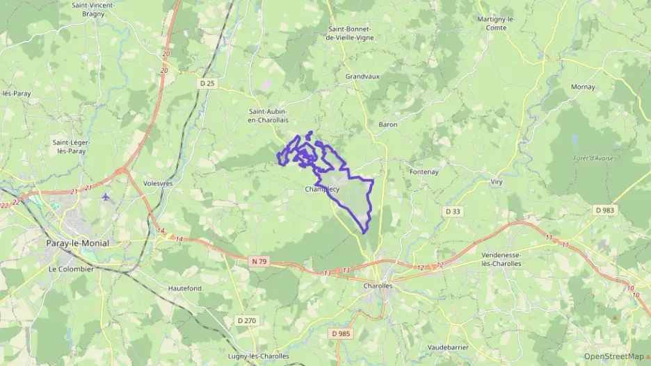 Maison 130 m² cinq pièces à vendre à Champlecy Maison 130 m² cinq pièces à vendre à Champlecy