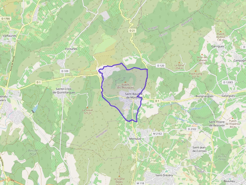 Maison 115 m² 5 pièces à vendre à Saint-Bauzille-de-Montmel