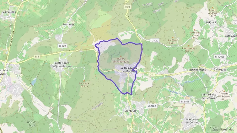 Maison 115 m² cinq pièces à vendre à Saint-Bauzille-de-Montmel