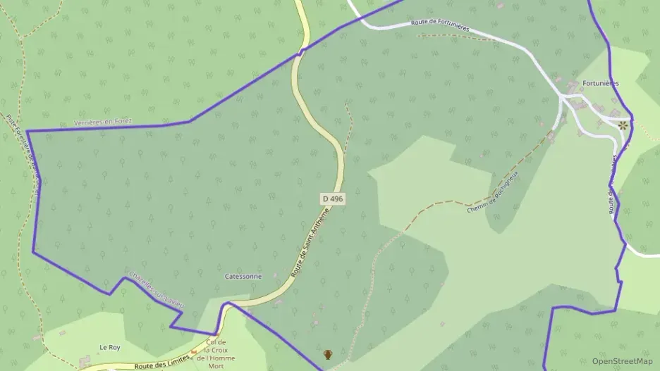 Maison 85 m² trois pièces à vendre à Chazelles-sur-Lavieu Maison 85 m² trois pièces à vendre à Chazelles-sur-Lavieu