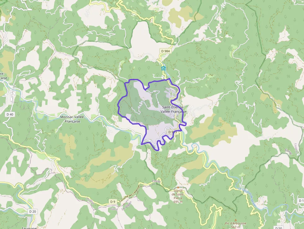 Maison 120 m² quatre pièces à vendre à Saint-Étienne-Vallée-Française