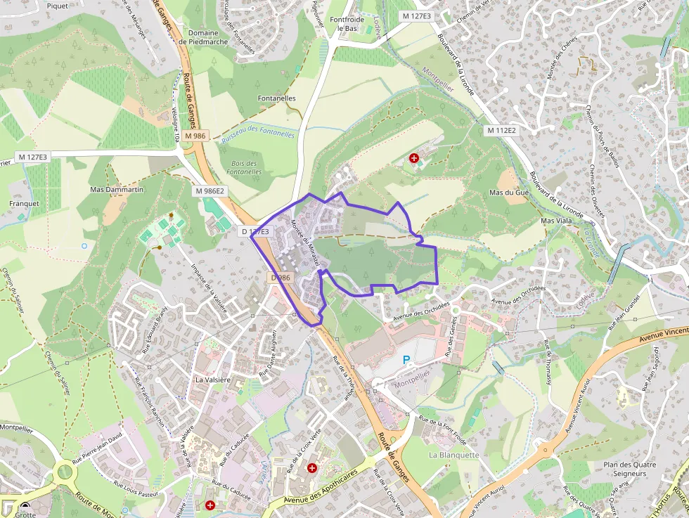 Maison 136 m² 5 pièces à vendre à Saint-Clément-de-Rivière