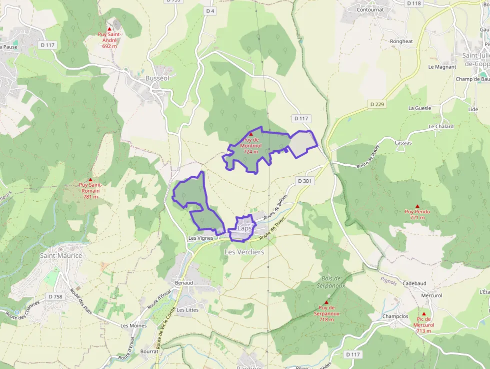 Maison 100 m² trois pièces à vendre à Laps