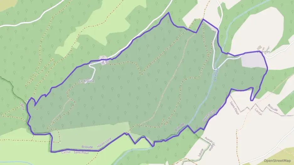 Maison 196 m² cinq pièces à vendre à Saint-Étienne-sur-Blesle Maison 196 m² cinq pièces à vendre à Saint-Étienne-sur-Blesle