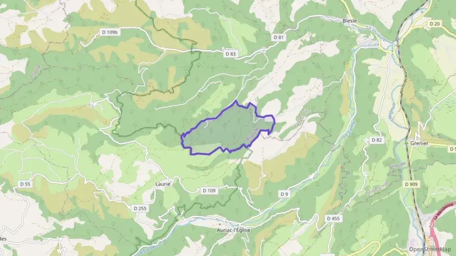 Maison 196 m² cinq pièces à vendre à Saint-Étienne-sur-Blesle Maison 196 m² cinq pièces à vendre à Saint-Étienne-sur-Blesle