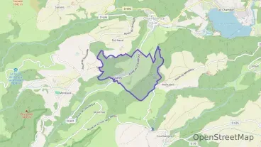 Maison 47 m² deux pieces à vendre à Chambon-sur-Lac