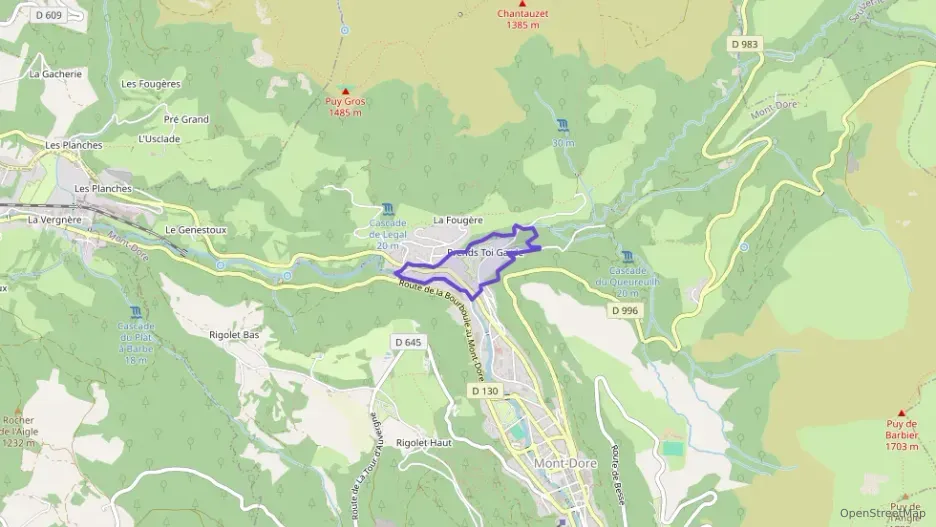 Maison 82 m² cinq pièces à vendre à Mont-Dore