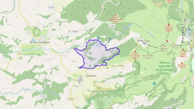 Maison 210 m² 7 pièces à vendre à Chastreix