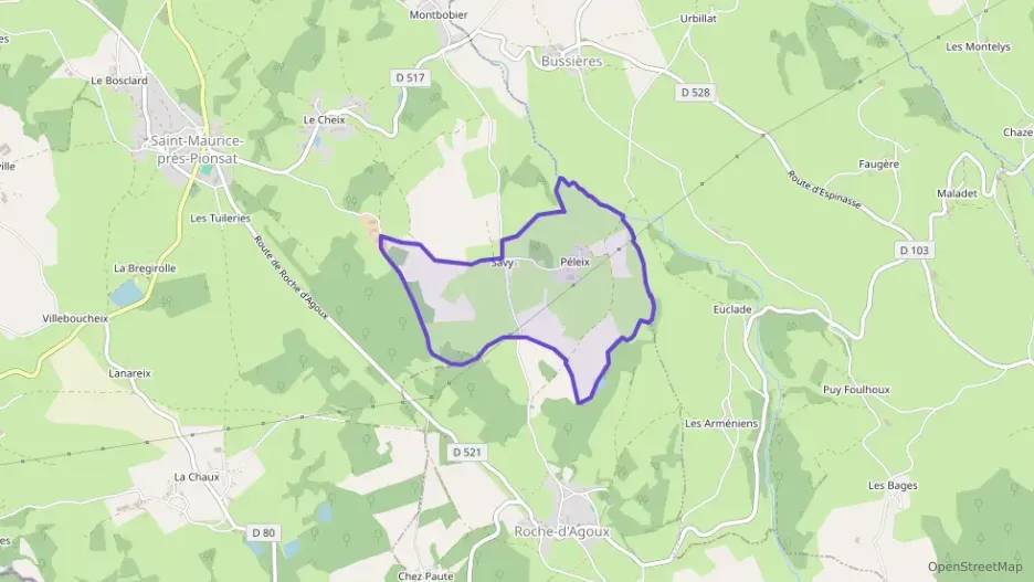 Maison 106 m² quatre pièces à vendre à Saint-Maurice-près-Pionsat