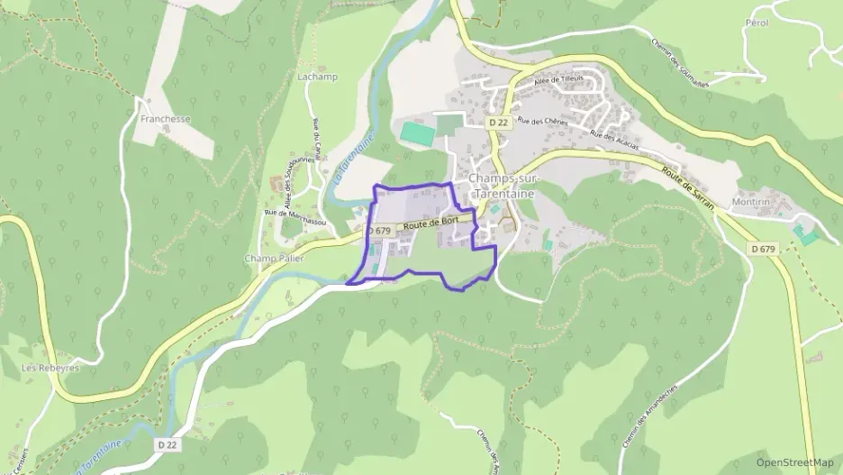 Maison 88 m² cinq pièces à vendre à Champs-sur-Tarentaine-Marchal Maison 88 m² cinq pièces à vendre à Champs-sur-Tarentaine-Marchal