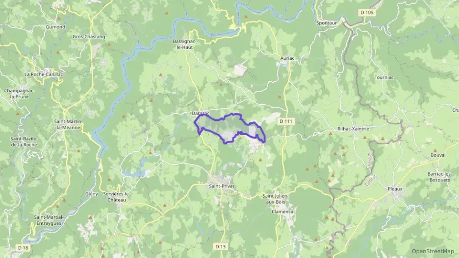 Maison 95 m² quatre pièces à vendre à Darazac