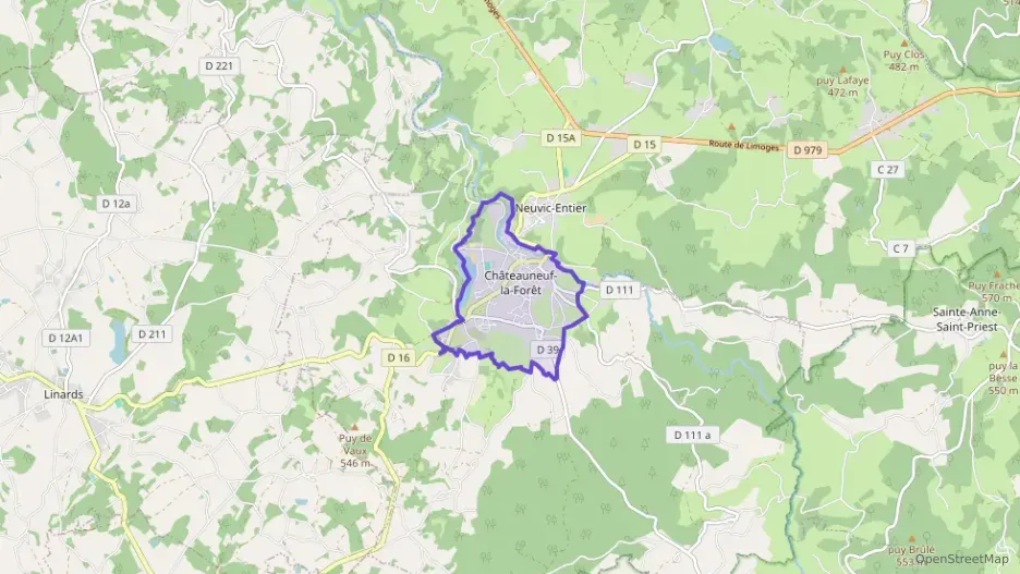 Maison 48 m² trois pièces à vendre à Châteauneuf-la-Forêt
