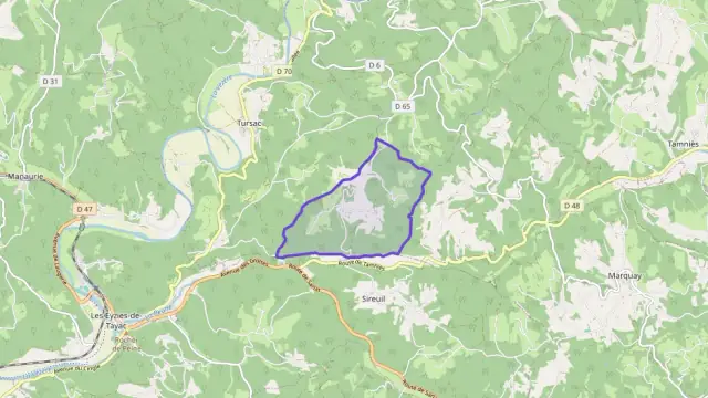 Maison 236 m² 7 pièces à vendre à Les Eyzies