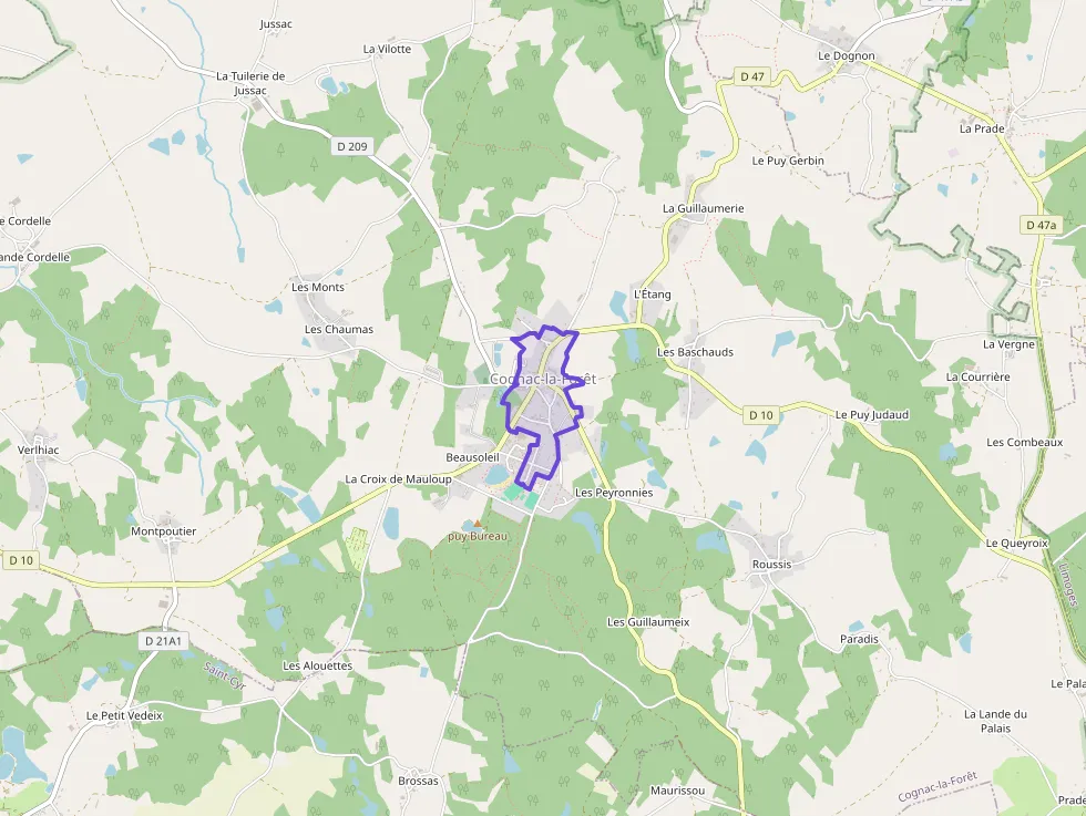 Maison 46 m² trois pièces à vendre à Cognac-la-Forêt