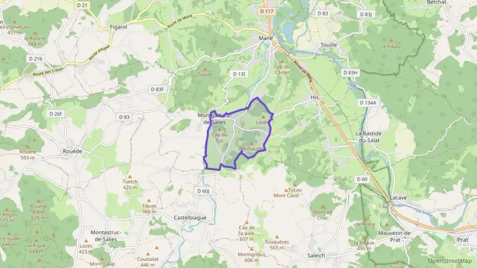 Maison 126 m² cinq pièces à vendre à Montgaillard-de-Salies