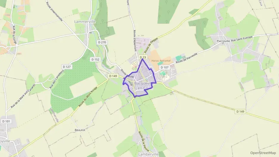 Maison 40 m² quatre pièces à vendre à Bacqueville-en-Caux Maison 40 m² quatre pièces à vendre à Bacqueville-en-Caux