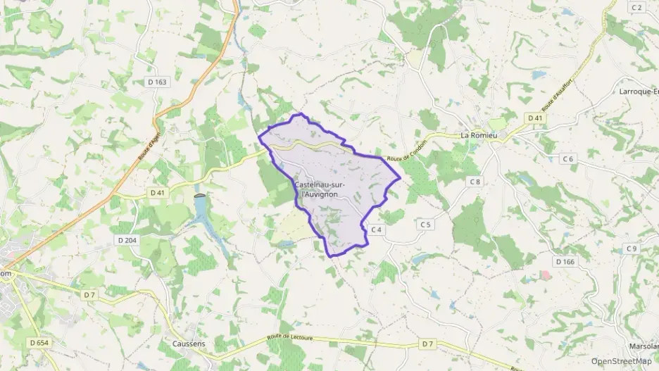 Maison 175 m² cinq pièces à vendre à Castelnau-sur-l`Auvignon