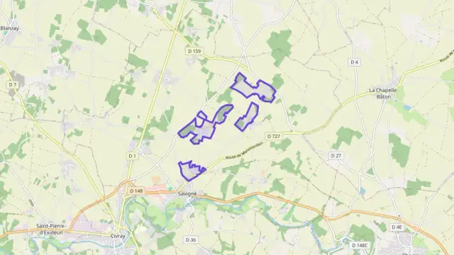 Maison 180 m² 5 pièces à vendre à Savigné