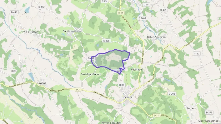 Maison 219 m² six pièces à vendre à Castelnau-Tursan Maison 219 m² six pièces à vendre à Castelnau-Tursan