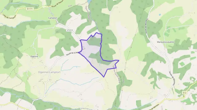 Maison 180 m² 5 pièces à vendre à Ogenne-Camptort