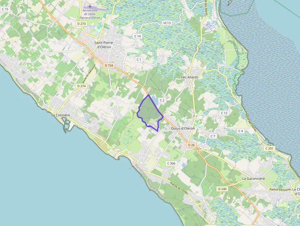 Maison 32 m² trois pièces à vendre à Dolus-d`Oléron