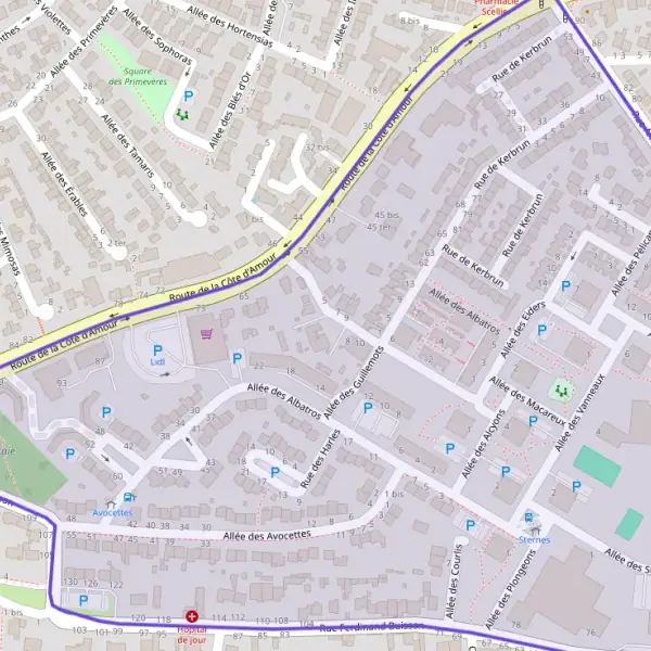 Property