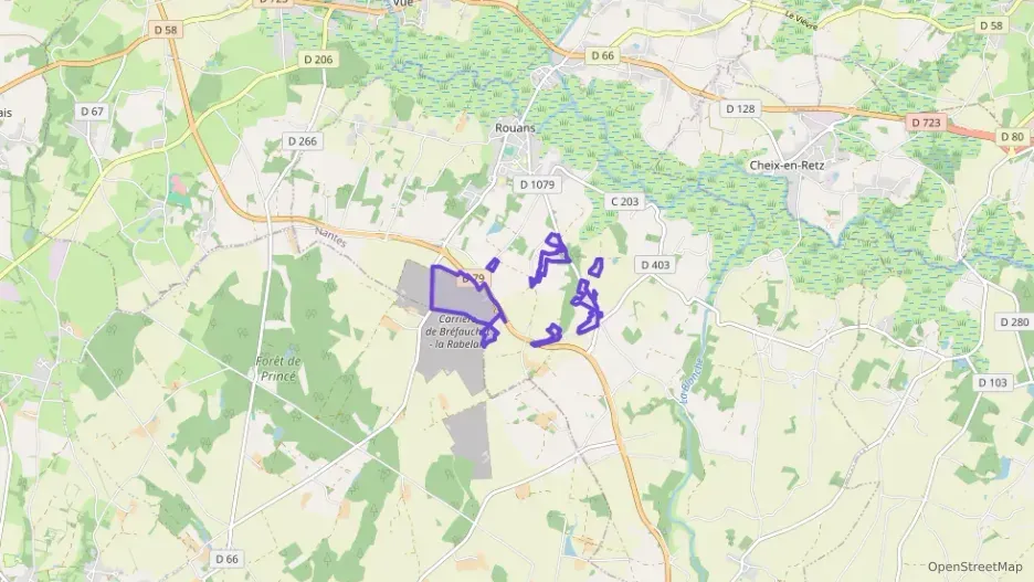 Maison 100 m² cinq pièces à vendre à Rouans Maison 100 m² cinq pièces à vendre à Rouans