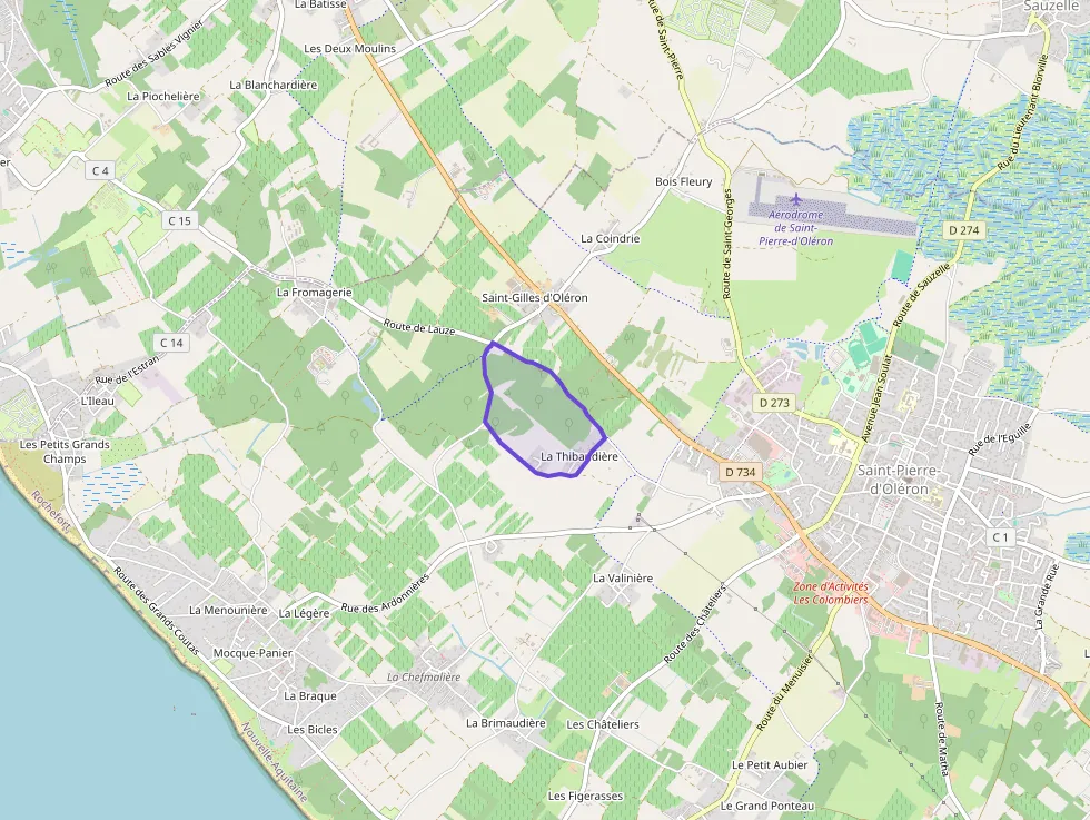 Maison 100 m² quatre pièces à vendre à Saint-Pierre-d`Oléron