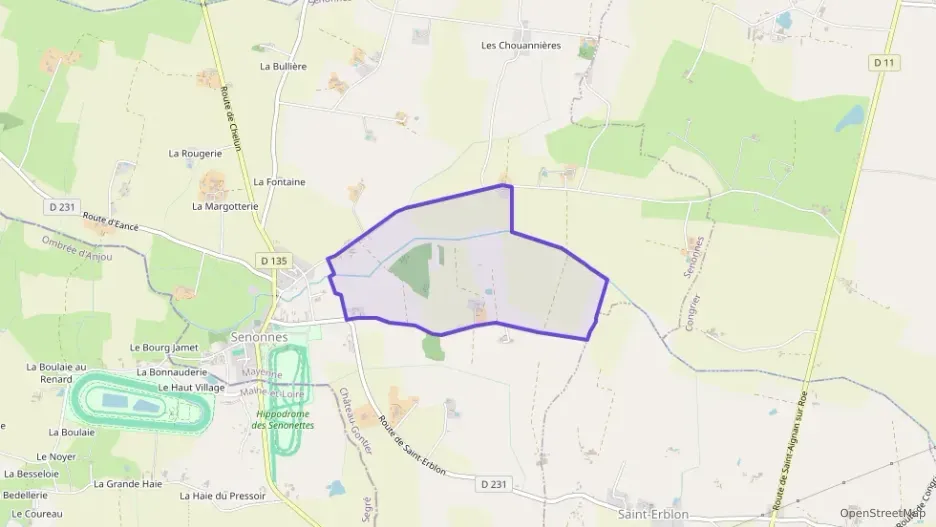 Maison 200 m² sept pièces à vendre à Senonnes Maison 200 m² sept pièces à vendre à Senonnes