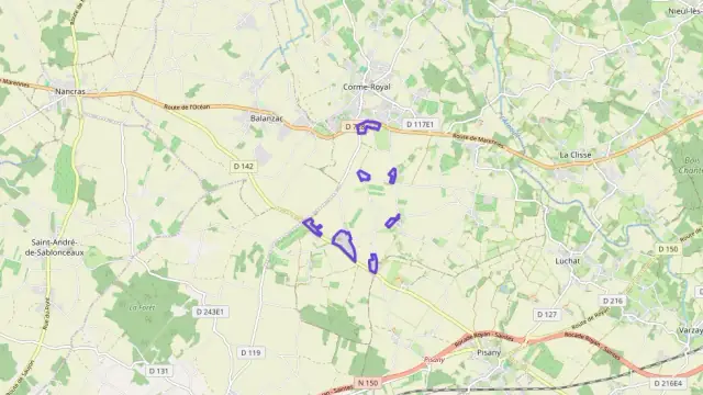 Maison 180 m² 5 pièces à vendre à Corme-Royal