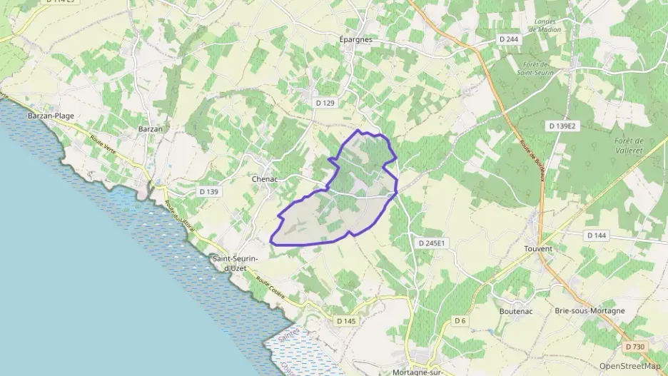 Maison 280 m² sept pièces à vendre à Chenac-Saint-Seurin-d`Uzet