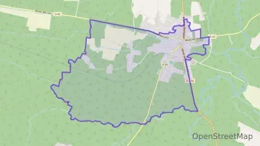 Maison 100 m² quatre pièces à vendre à Pissos