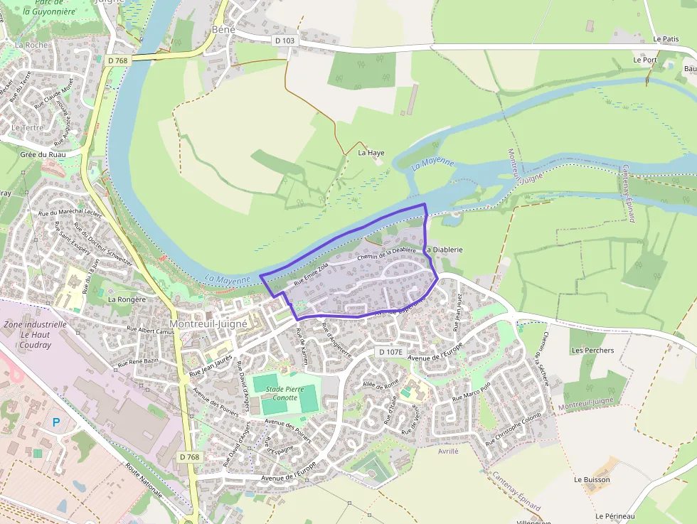 Maison 145 m² 5 pièces à vendre à Montreuil-Juigné