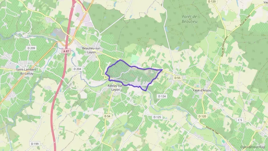 Maison 156 m² quatre pièces à vendre à Bellevigne-en-Layon