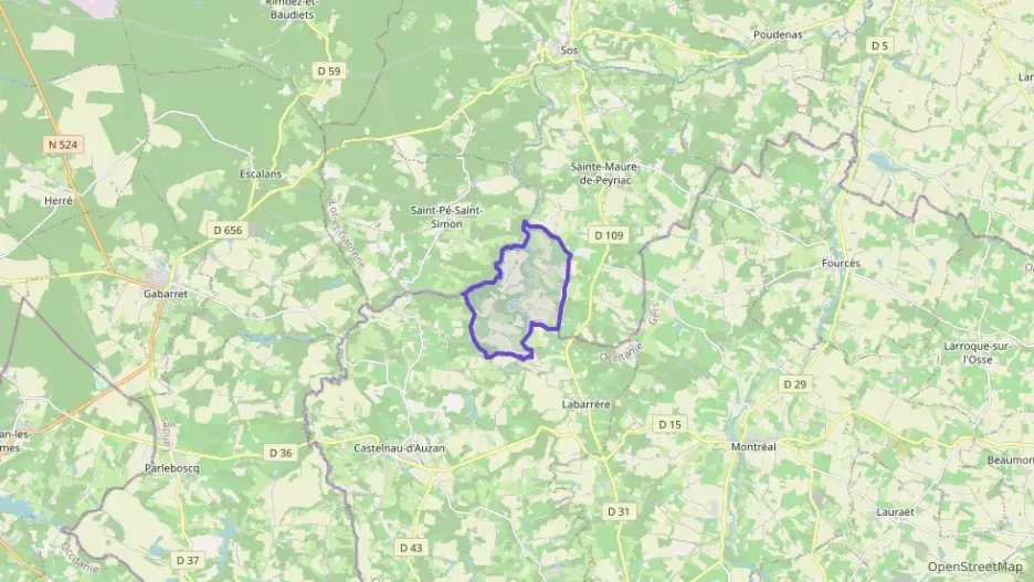 Maison 100 m² trois pièces à vendre à Castelnau d`Auzan Labarrère