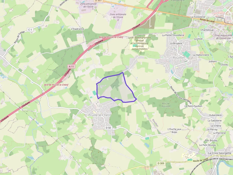 Maison 110 m² 5 pièces à vendre à Pruillé-le-Chétif