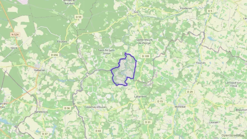 Maison 250 m² six pièces à vendre à Castelnau d`Auzan Labarrère