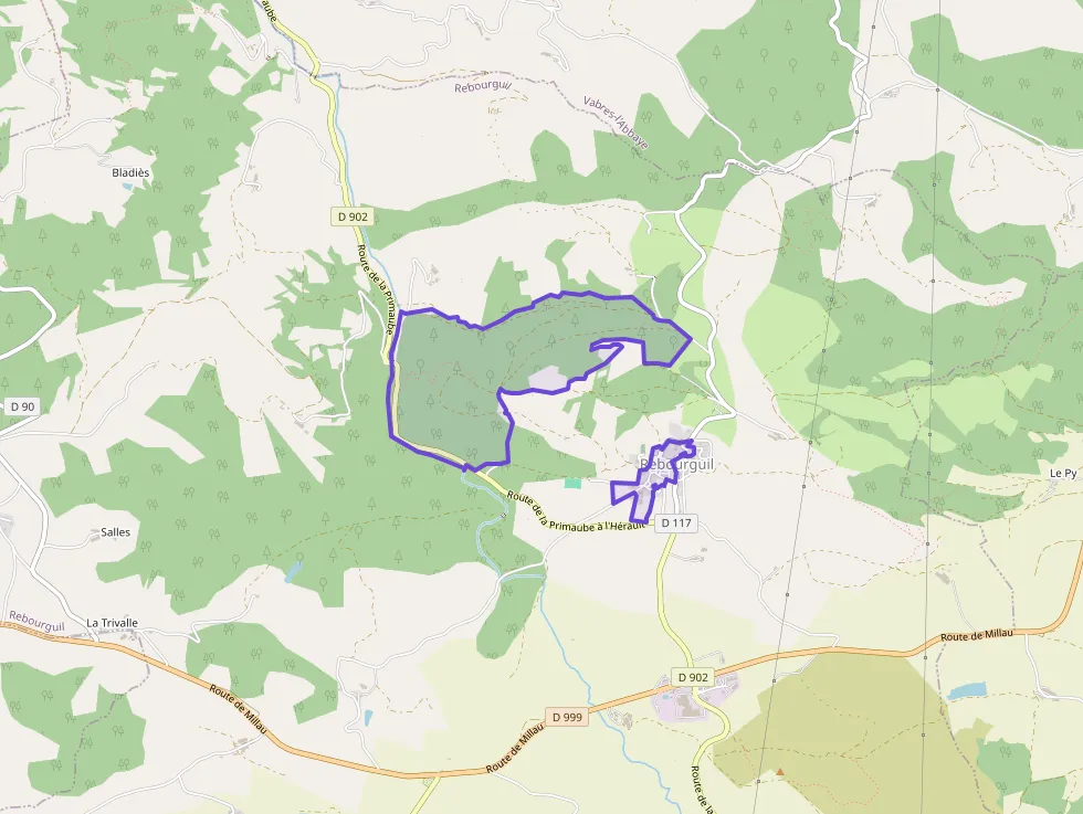 Maison 140 m² 5 pièces à vendre à Rebourguil