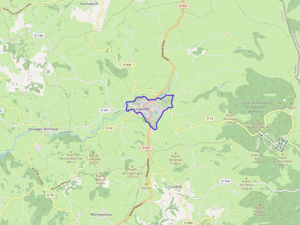 Maison 120 m² quatre pièces à vendre à Laguiole