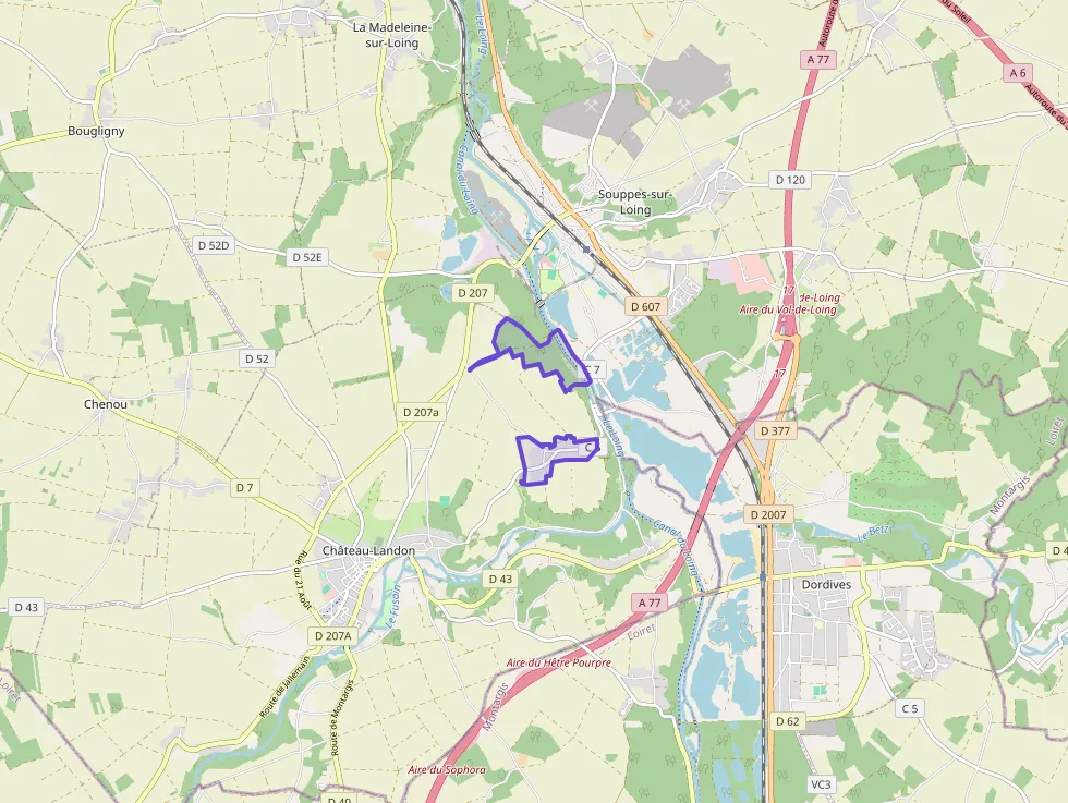 Maison 50 m² deux pieces à vendre à Château-Landon