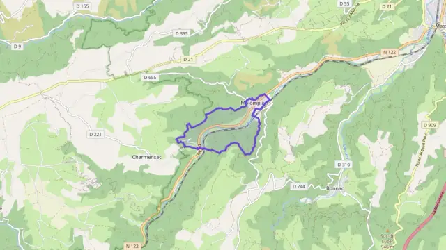 Maison 100 m² 5 pièces à vendre à Molompize