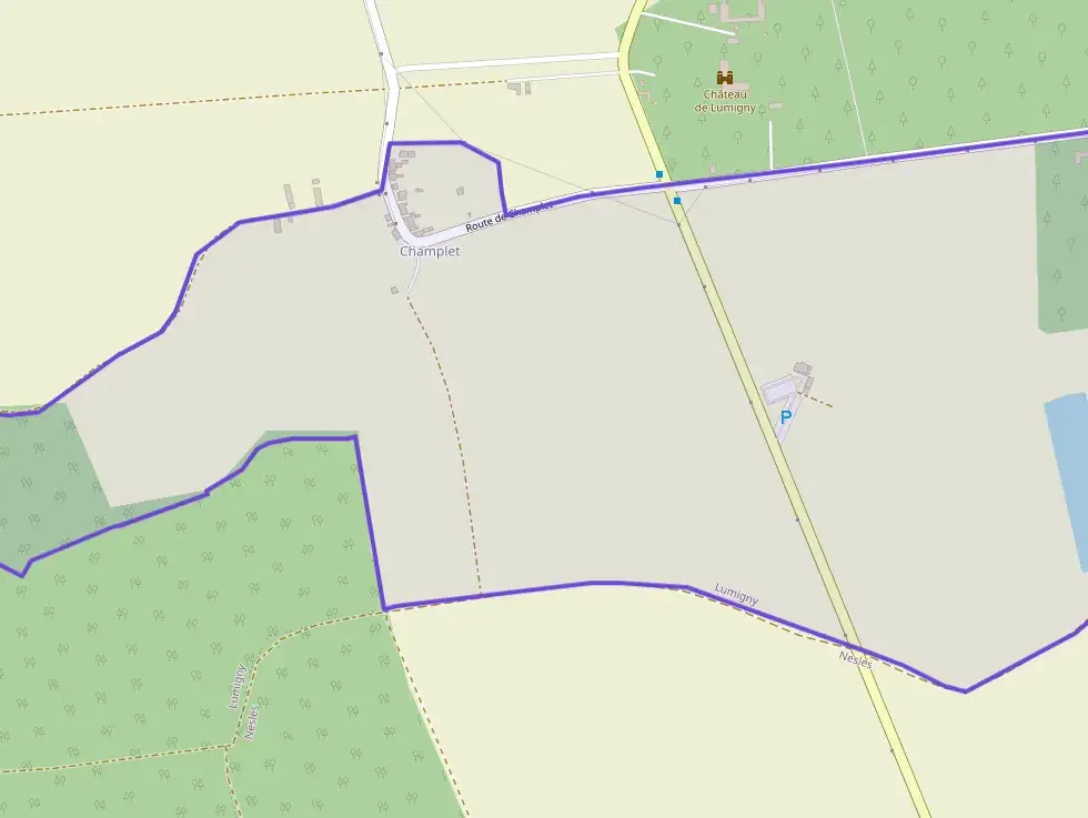 Maison 167 m² 5 pièces à vendre à Lumigny-Nesles-Ormeaux