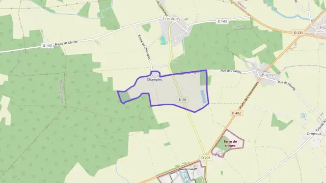 Maison 167 m² 5 pièces à vendre à Lumigny-Nesles-Ormeaux