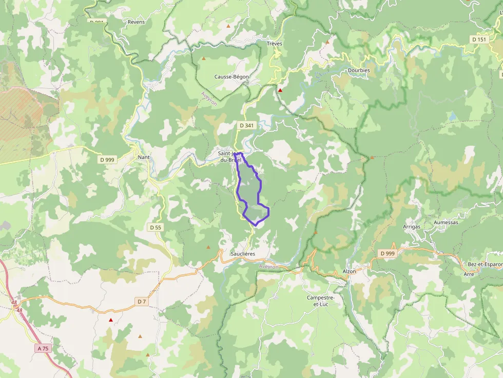 Maison 100 m² quatre pièces à vendre à Saint-Jean-du-Bruel