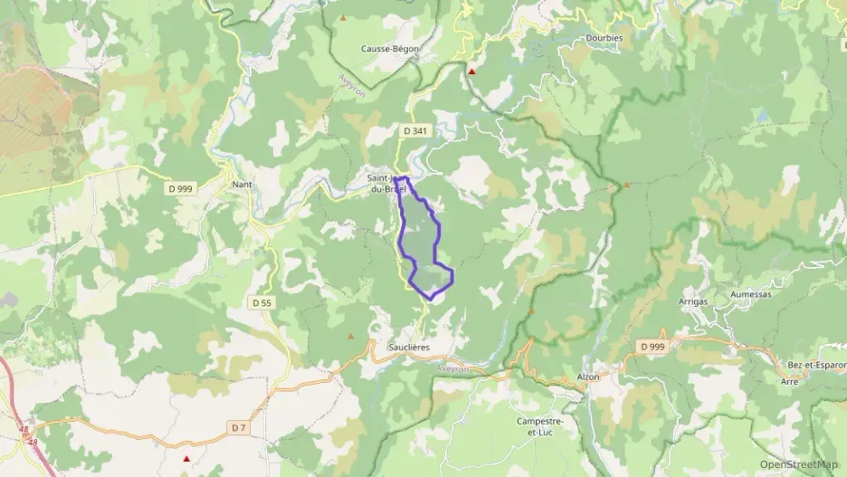 Maison 100 m² quatre pièces à vendre à Saint-Jean-du-Bruel Maison 100 m² quatre pièces à vendre à Saint-Jean-du-Bruel